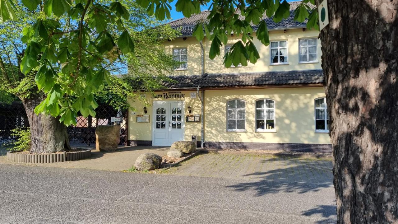 Wirtshaus & Pension "Zum Hammer" Neustadt  Exterior photo